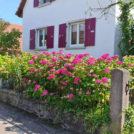 Apartamento Bettmatten